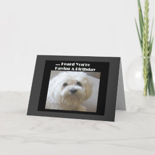 Maltese Humour Birthday Card for Over-The-Hill