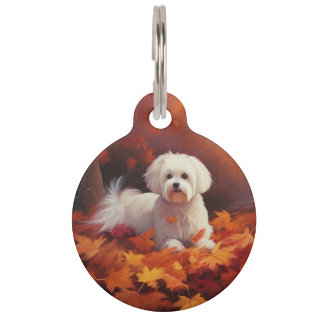 Maltese in Autumn Leaves Fall Inspire  Pet Tag (Front)