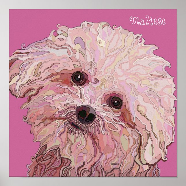 Maltese in Dazzling Colours Poster (Front)