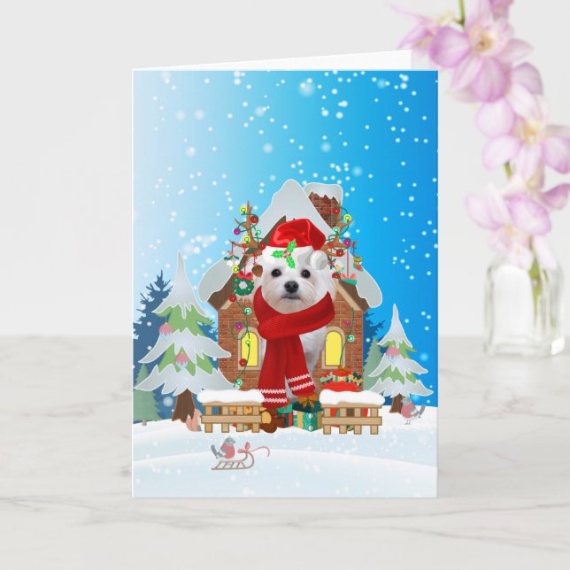Maltese in snow with Christmas gifts  Card (Orchid)