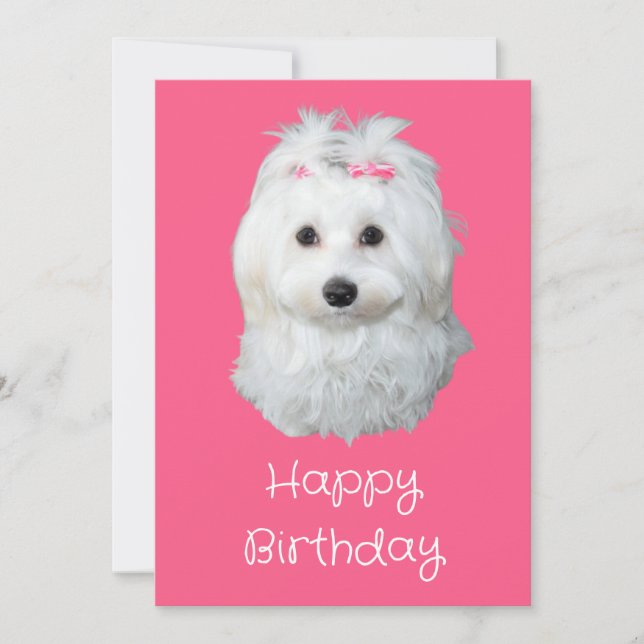 Maltese LiLi White Puppy Photo  Holiday Card (Front)