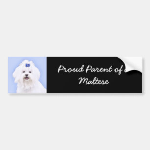 Maltese Painting - Cute Original Dog Art Bumper Sticker