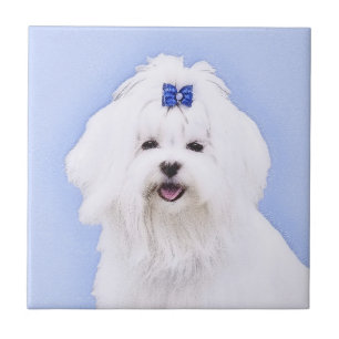Maltese Painting - Cute Original Dog Art Ceramic Tile
