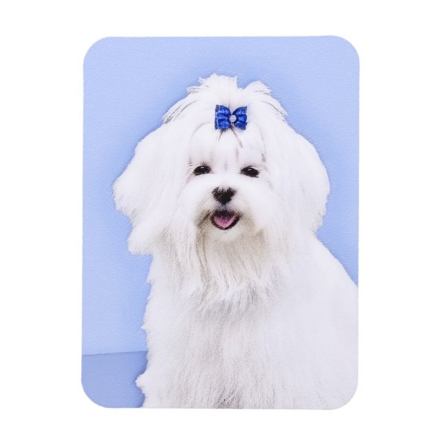 Maltese Painting - Cute Original Dog Art Magnet (Vertical)