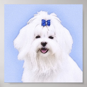 Maltese Painting - Cute Original Dog Art Poster