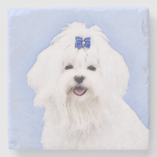 Maltese Painting - Cute Original Dog Art Stone Coaster