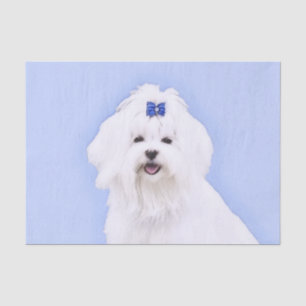 Maltese Painting - Cute Original Dog Art Tissue Paper