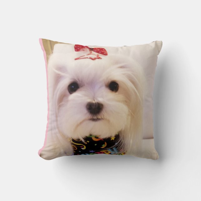 Maltese Pillow (Front)