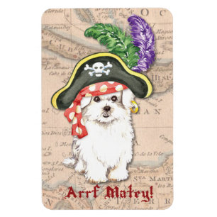 Maltese Pirate Magnet