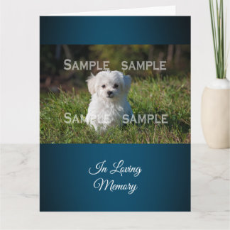 Maltese poodle in grass photo  | Personalise Card