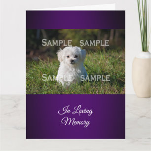Maltese poodle in grass photo    Personalise Card