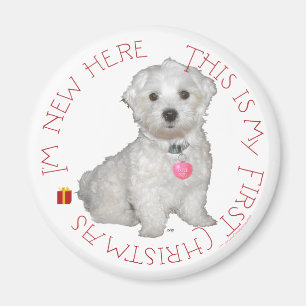 Maltese Pup First Christmas Magnet