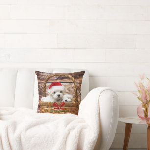 Maltese Puppies in a Christmas Basket Cushion