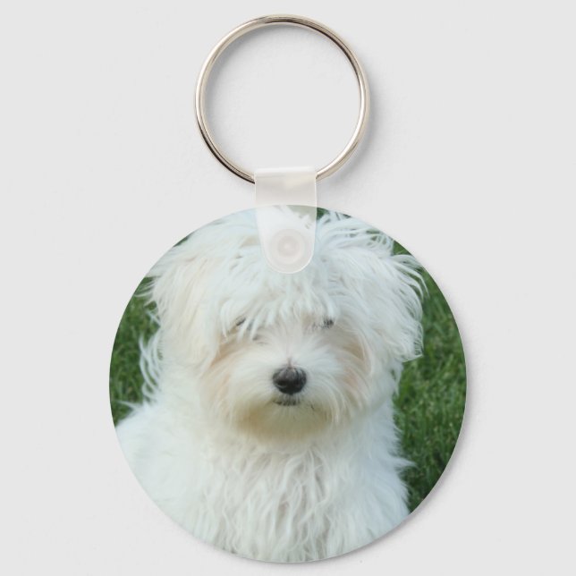 Maltese Puppies Keychain (Front)