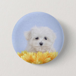 Maltese puppy 6 cm round badge