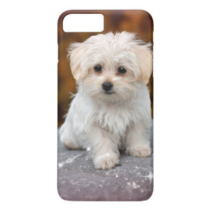 Maltese Puppy...Adorable iPhone 8 Plus/7 Plus Case