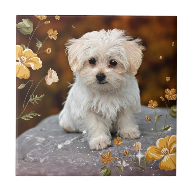 Maltese Puppy...adorable Ceramic Tile (Front)
