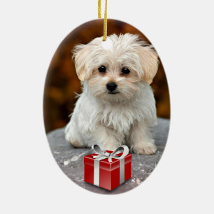 Maltese Puppy at Christmas Ceramic Ornament