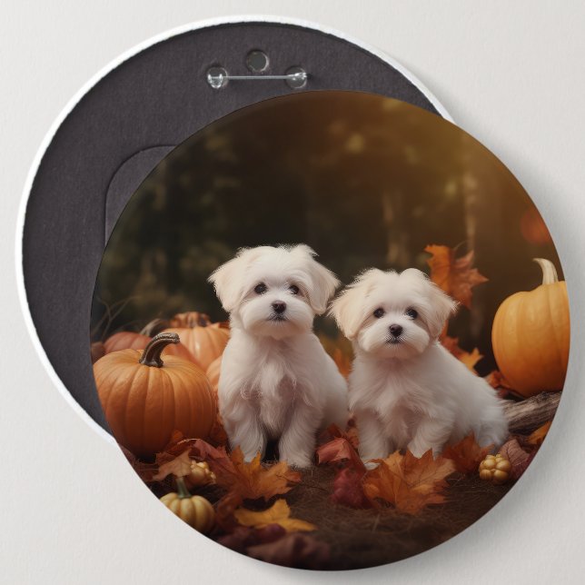 Maltese Puppy Autumn Delight Pumpkin  6 Cm Round Badge (Front & Back)