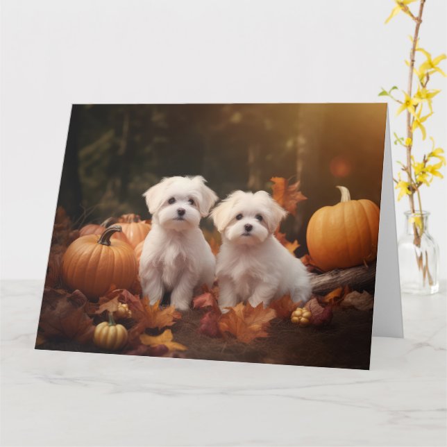 Maltese Puppy Autumn Delight Pumpkin  Card (Yellow Flower)