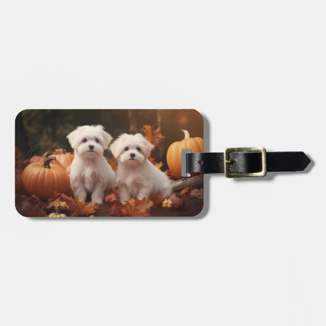 Maltese Puppy Autumn Delight Pumpkin  Luggage Tag (Front Horizontal)
