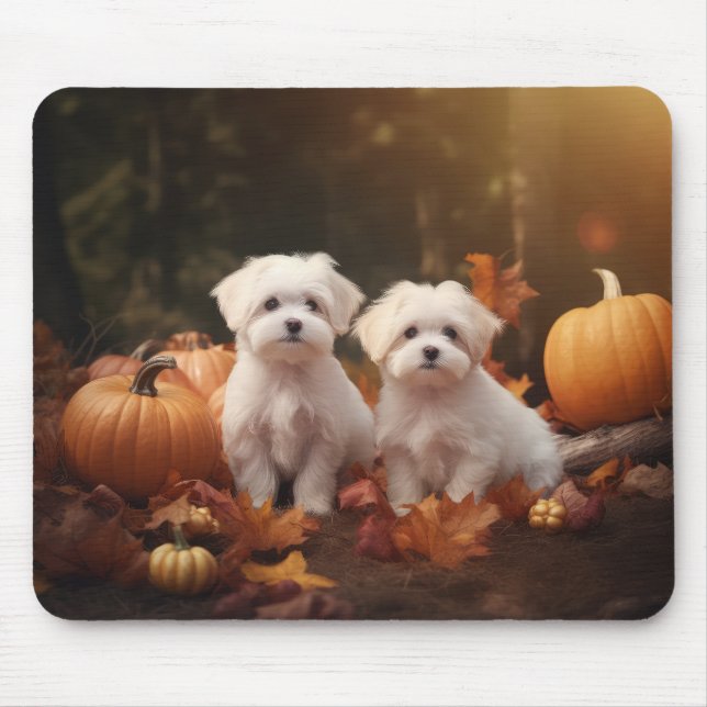 Maltese Puppy Autumn Delight Pumpkin  Mouse Pad (Front)