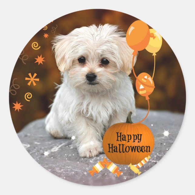 Maltese Puppy Celebrates Halloween Classic Round Sticker (Front)