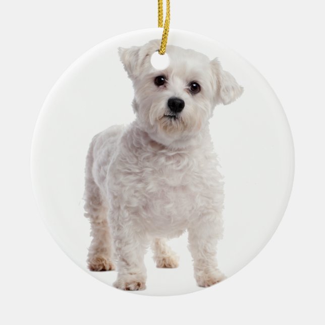 Maltese Puppy Ceramic Ornament (Front)