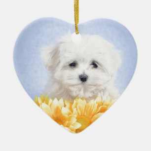 Maltese puppy ceramic tree decoration