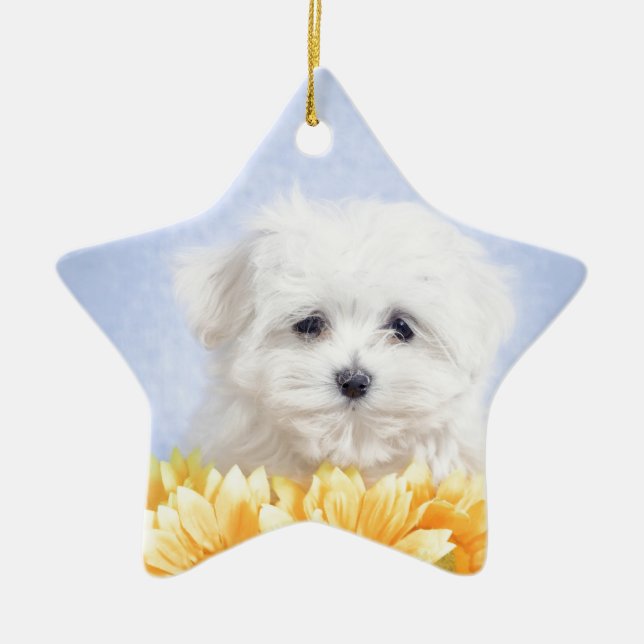 Maltese puppy ceramic tree decoration (Front)