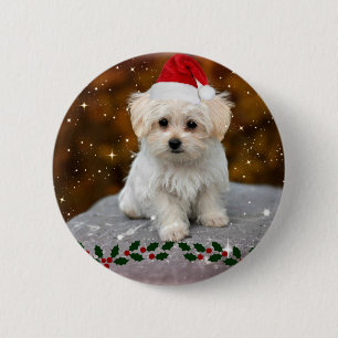 Maltese Puppy Christmas 6 Cm Round Badge