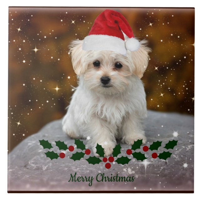 Maltese Puppy Christmas Ceramic Tile (Front)