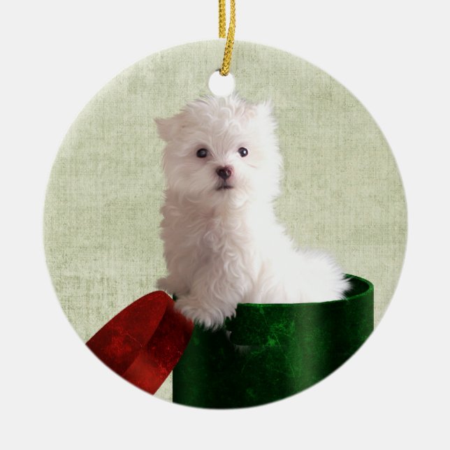 Maltese puppy Christmas Ceramic Tree Decoration (Front)