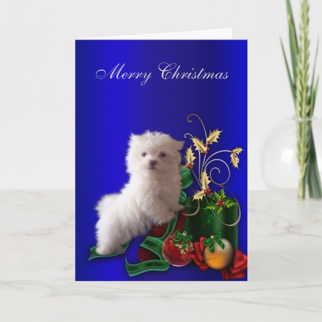 Maltese Puppy Dog Christmas Holiday Card (Front)