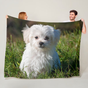 MALTESE PUPPY FLEECE BLANKET