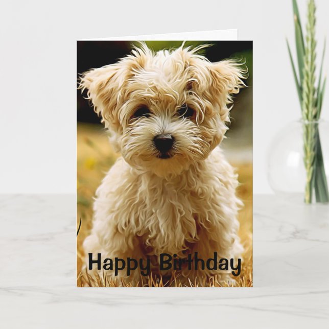 Maltese Puppy Happy Birthday Greeting Card (Front)