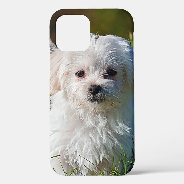 Maltese Puppy in the Grass Case-Mate iPhone Case (Back)