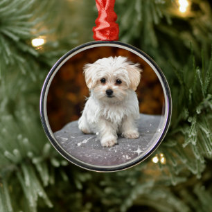 Maltese Puppy Metal Ornament