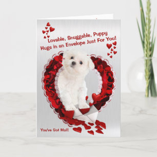 Maltese Puppy - Super Cute You've Got Mail! Holiday Card