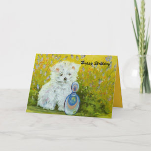Maltese puppy - yellow card