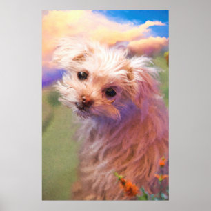 Maltese Rescue Puppy Day 1 “THE WEE ONE” Poster