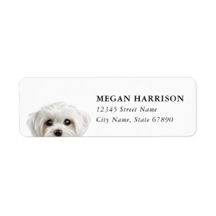 Maltese Return Address Labels