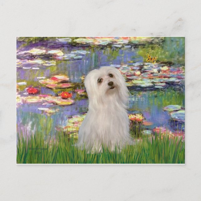 Maltese (SD) - Lilies 2 Postcard (Front)