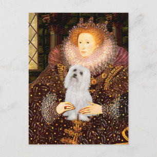 Maltese (SD) - Queen Postcard