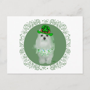 Maltese St. Patricks Day Postcard