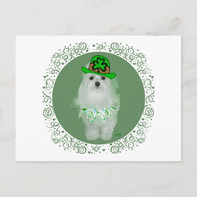 Maltese St. Patricks Day Postcard (Front)