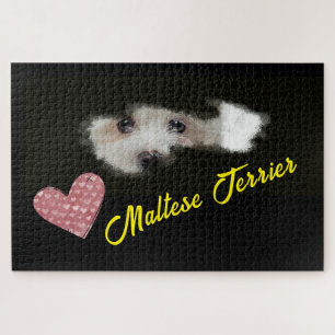 Maltese Terrier Eyes Solid Colour 1000 piece Jigsa Jigsaw Puzzle