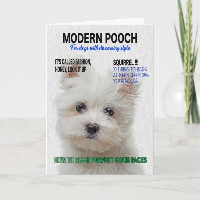 Maltese Terrier Parody Magazine Cover  Card (Front)