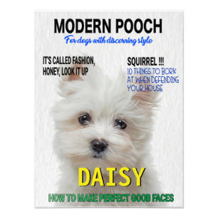 Maltese Terrier Parody Magazine Cover Photo Print