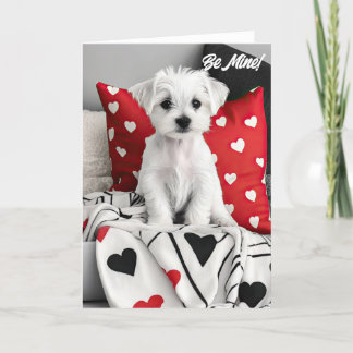 Maltese Terrier Puppy Valentine Card